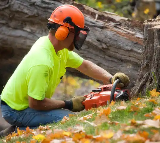 tree services McCook